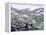 Dall Sheep at Denali-Jeff Tift-Framed Premier Image Canvas