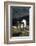 Dall Sheep, Dall Ram, Wildlife, Denali National Park, Alaska, USA-Gerry Reynolds-Framed Photographic Print