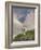 Dall Sheep Rams, Denali National Park, Alaska, USA-Hugh Rose-Framed Photographic Print