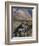 Dall Sheep Rams, Denali National Park, Alaska, USA-Hugh Rose-Framed Photographic Print