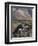 Dall Sheep Rams, Denali National Park, Alaska, USA-Hugh Rose-Framed Photographic Print