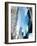 Dallas Architecture II-Sisa Jasper-Framed Photographic Print