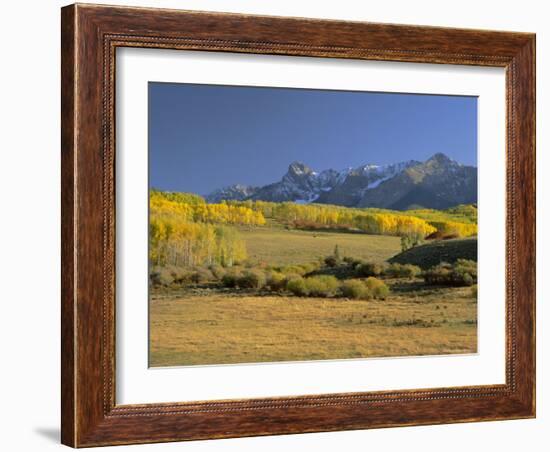 Dallas Divide Between Placerville and Ridgway in the Autumn, Colorado, USA-Gavin Hellier-Framed Photographic Print