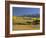 Dallas Divide Between Placerville and Ridgway in the Autumn, Colorado, USA-Gavin Hellier-Framed Photographic Print