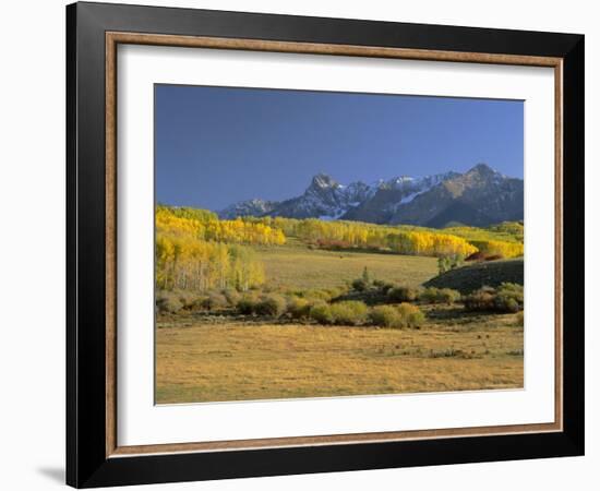 Dallas Divide Between Placerville and Ridgway in the Autumn, Colorado, USA-Gavin Hellier-Framed Photographic Print