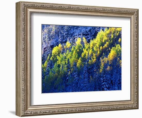 Dallas Divide, Uncompahgre National Forest, Colorado, USA-Art Wolfe-Framed Photographic Print