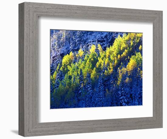 Dallas Divide, Uncompahgre National Forest, Colorado, USA-Art Wolfe-Framed Photographic Print