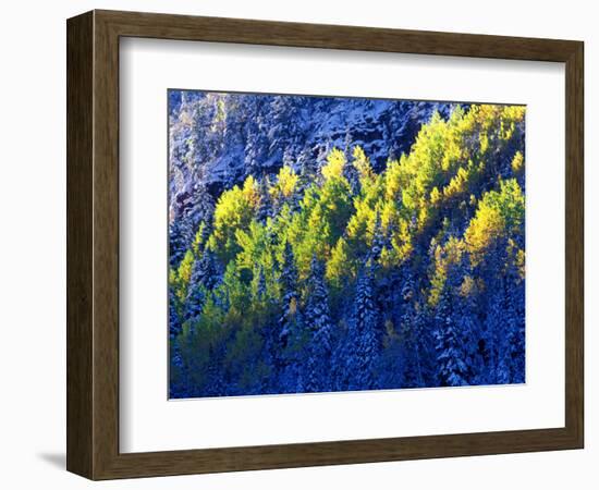 Dallas Divide, Uncompahgre National Forest, Colorado, USA-Art Wolfe-Framed Photographic Print