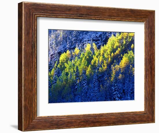 Dallas Divide, Uncompahgre National Forest, Colorado, USA-Art Wolfe-Framed Photographic Print