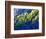 Dallas Divide, Uncompahgre National Forest, Colorado, USA-Art Wolfe-Framed Photographic Print