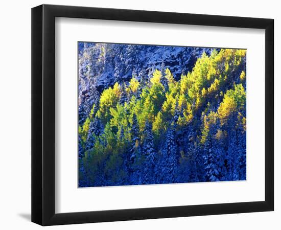 Dallas Divide, Uncompahgre National Forest, Colorado, USA-Art Wolfe-Framed Photographic Print