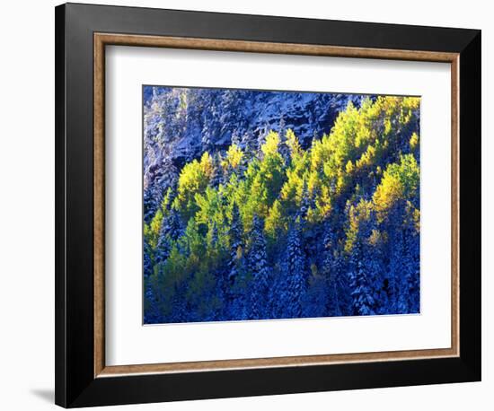 Dallas Divide, Uncompahgre National Forest, Colorado, USA-Art Wolfe-Framed Photographic Print