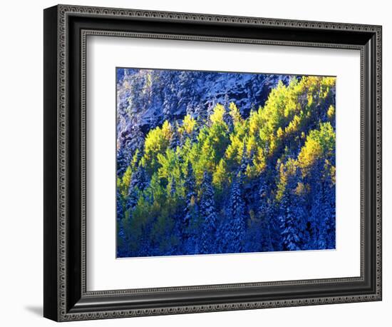 Dallas Divide, Uncompahgre National Forest, Colorado, USA-Art Wolfe-Framed Photographic Print