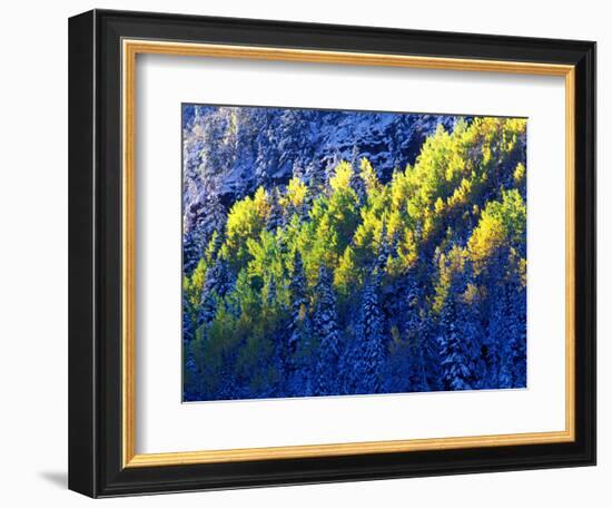 Dallas Divide, Uncompahgre National Forest, Colorado, USA-Art Wolfe-Framed Photographic Print