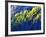 Dallas Divide, Uncompahgre National Forest, Colorado, USA-Art Wolfe-Framed Photographic Print