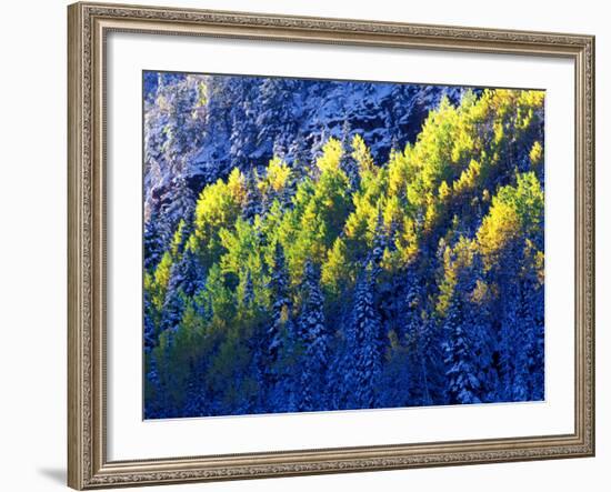 Dallas Divide, Uncompahgre National Forest, Colorado, USA-Art Wolfe-Framed Photographic Print