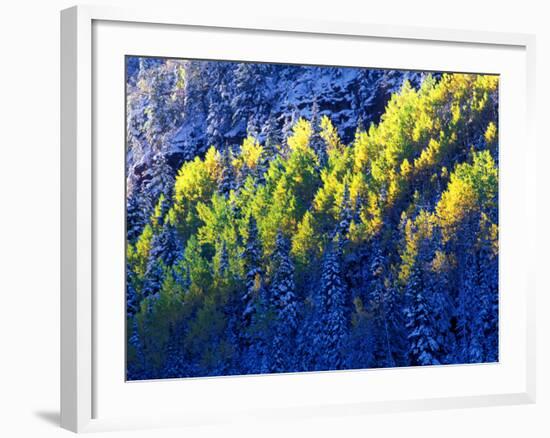 Dallas Divide, Uncompahgre National Forest, Colorado, USA-Art Wolfe-Framed Photographic Print