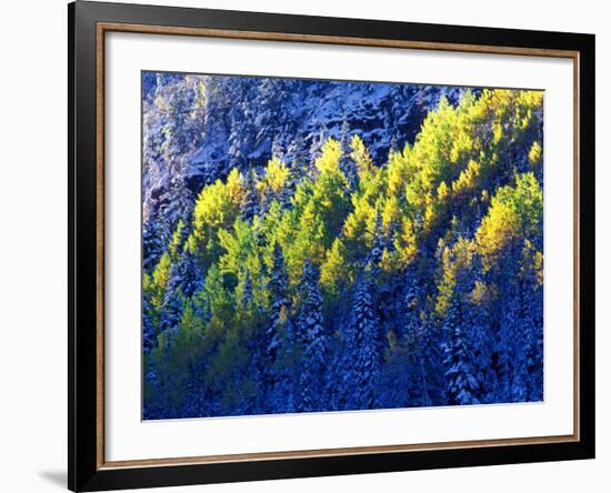 Dallas Divide, Uncompahgre National Forest, Colorado, USA-Art Wolfe-Framed Photographic Print