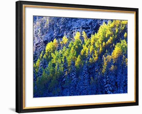 Dallas Divide, Uncompahgre National Forest, Colorado, USA-Art Wolfe-Framed Photographic Print