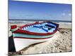 Premium Photographic Print