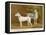 Dalmatian and a Bull Terrier Stand Side by Side Gazing at Something in the Distance-null-Framed Stretched Canvas