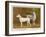 Dalmatian and a Bull Terrier Stand Side by Side Gazing at Something in the Distance-null-Framed Art Print