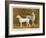 Dalmatian and a Bull Terrier Stand Side by Side Gazing at Something in the Distance-null-Framed Art Print