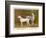 Dalmatian and a Bull Terrier Stand Side by Side Gazing at Something in the Distance-null-Framed Art Print