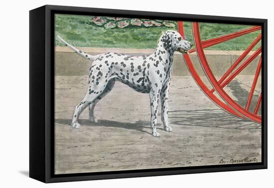 Dalmatian by Coach Wheel-Louis Agassiz Fuertes-Framed Stretched Canvas