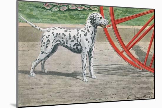 Dalmatian by Coach Wheel-Louis Agassiz Fuertes-Mounted Art Print