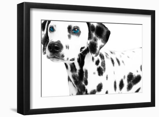 Dalmatian Date II-null-Framed Art Print