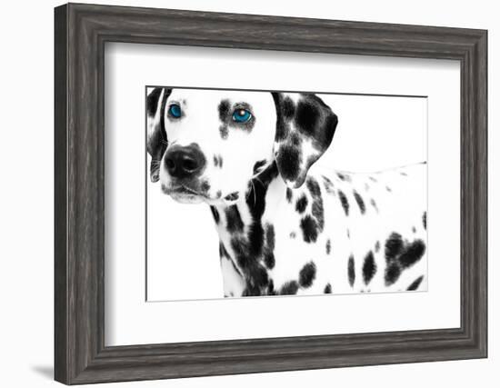 Dalmatian Date II-null-Framed Art Print