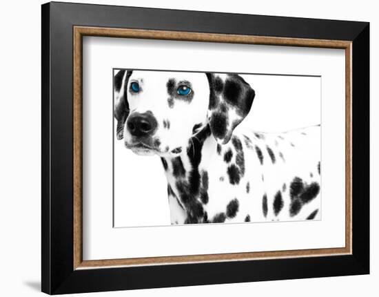 Dalmatian Date II-null-Framed Art Print