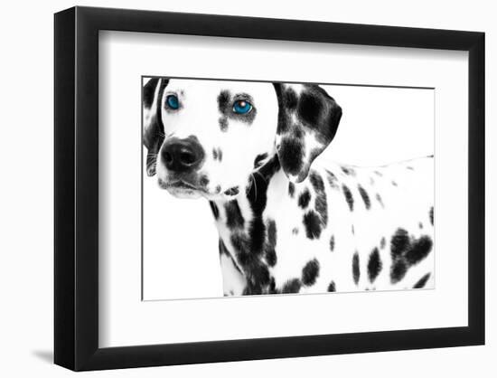 Dalmatian Date II-null-Framed Art Print