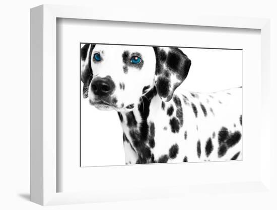 Dalmatian Date II--Framed Art Print