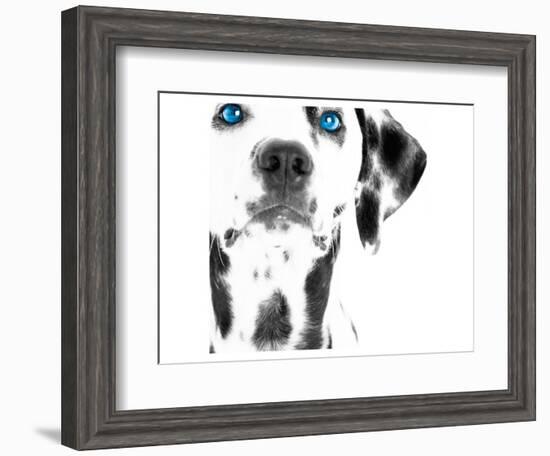 Dalmatian Date III-null-Framed Premium Giclee Print