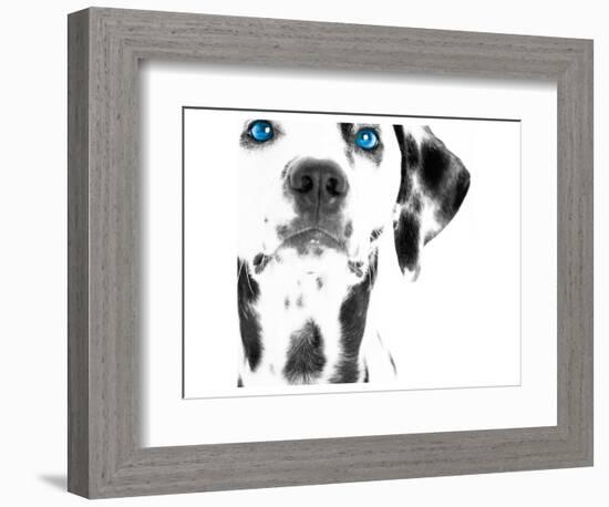 Dalmatian Date III-null-Framed Premium Giclee Print