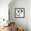 Dalmatian Date III-null-Framed Art Print displayed on a wall