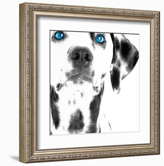 Dalmatian Date III-null-Framed Art Print