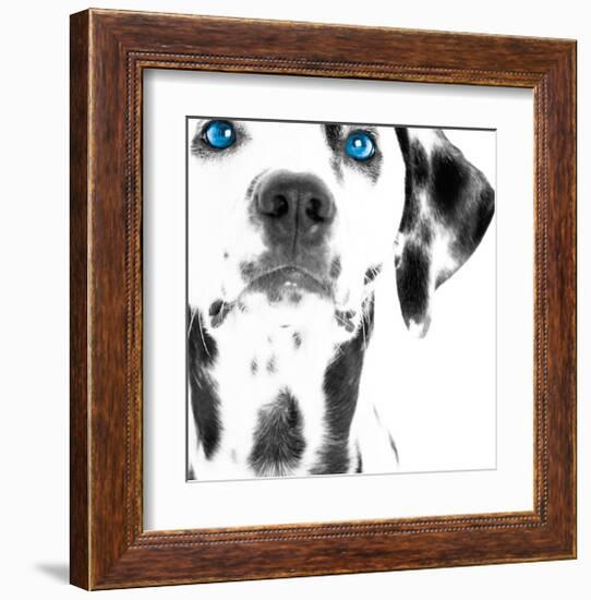 Dalmatian Date III-null-Framed Art Print