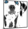 Dalmatian Date III-null-Mounted Art Print