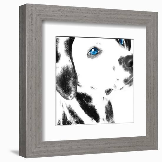 Dalmatian Date IV-null-Framed Art Print