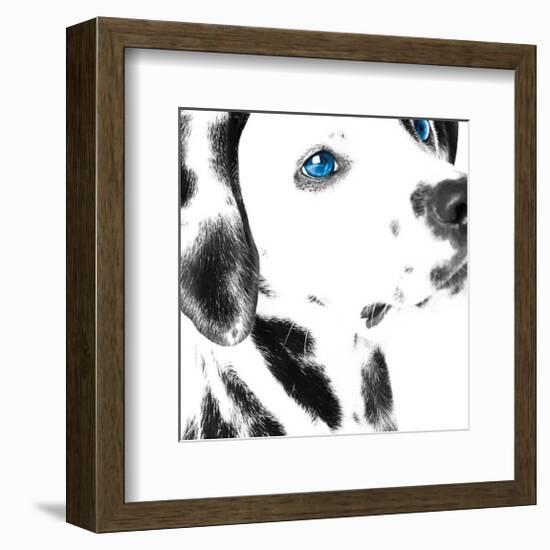 Dalmatian Date IV-null-Framed Art Print