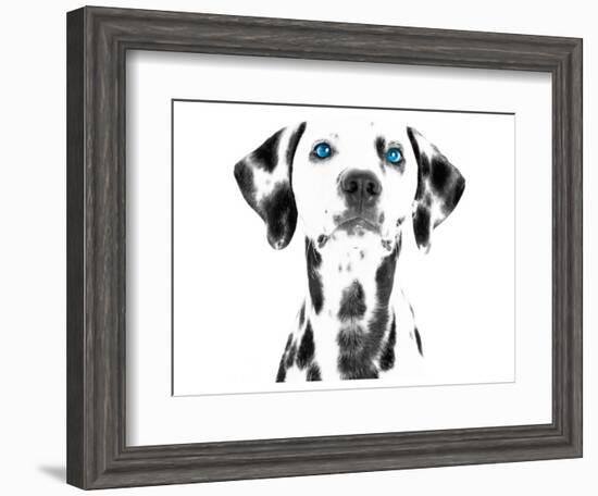 Dalmatian Date VI-null-Framed Premium Giclee Print