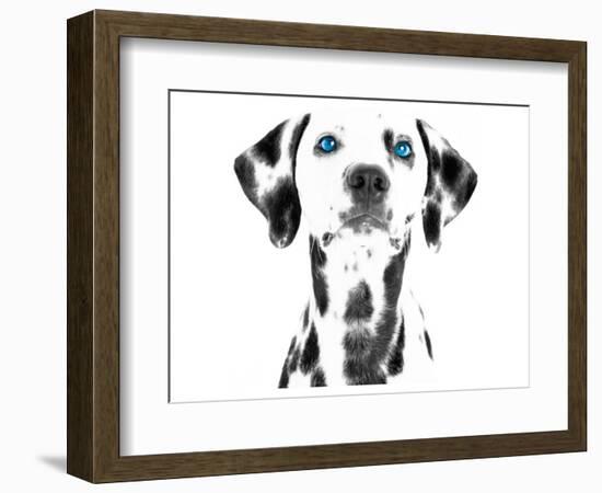 Dalmatian Date VI-null-Framed Premium Giclee Print