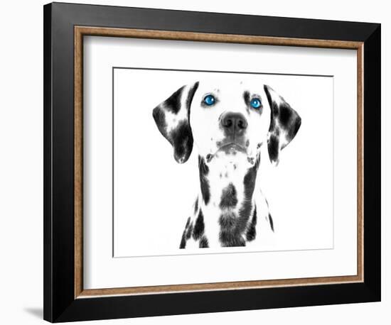 Dalmatian Date VI-null-Framed Premium Giclee Print