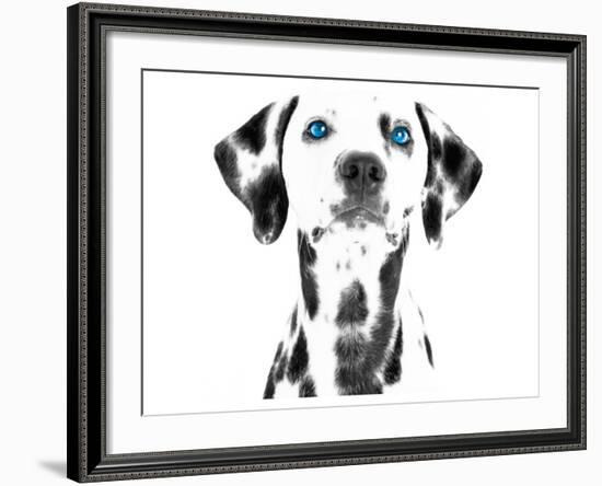 Dalmatian Date VI-null-Framed Premium Giclee Print