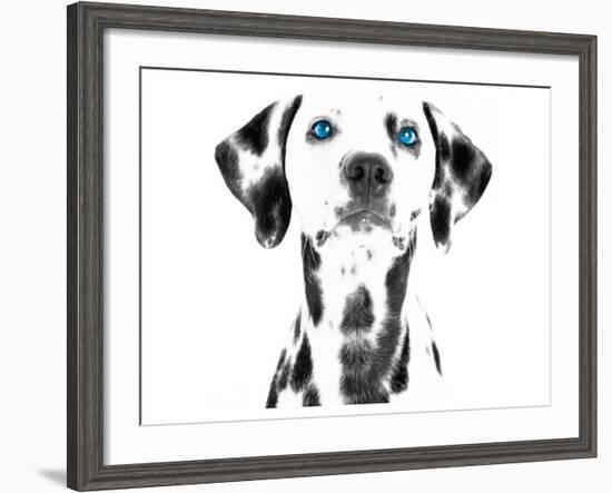 Dalmatian Date VI-null-Framed Premium Giclee Print