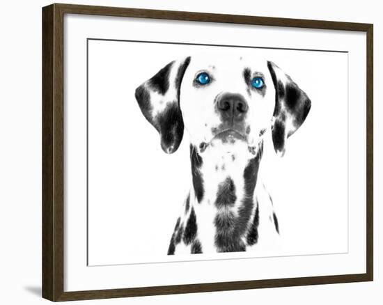 Dalmatian Date VI-null-Framed Premium Giclee Print