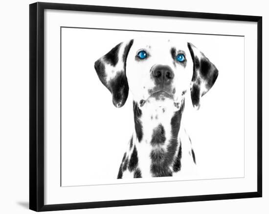 Dalmatian Date VI-null-Framed Premium Giclee Print